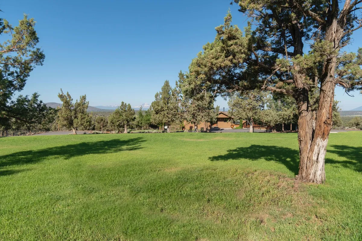 This image features a sprawling green lawn with tall trees framing the view and a rustic house nestled at the edge. In the background, distant mountains rise, suggesting a beautiful rural setting with abundant nature. The open outdoor space invites recreational activities and moments of peaceful relaxation.